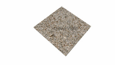 Large Format Marble Slab Tile , Custom Marble Slab Low Water Absorption