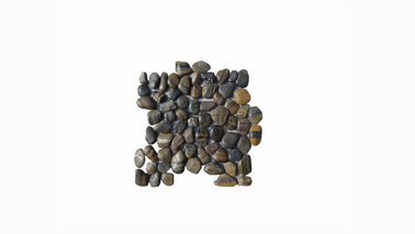 Frost Resistant Pebble Stone Tiles , Pebble Stone Floor Tile Naturally Tumbled