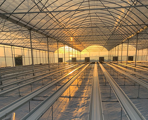 雙排草莓栽培種植系統(tǒng)（含種植盆）