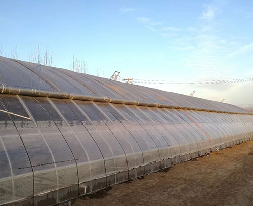 新型柔性保溫墻體日光溫室