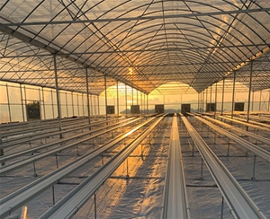 雙排草莓栽培種植系統(tǒng)（含種植盆）