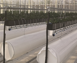 植物根部通風循環(huán)系統(tǒng)