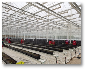 草莓類(lèi)栽培槽種植系統(tǒng)