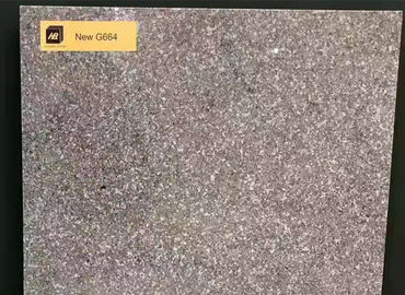 cheap Granite G664 Floor Tiles  with high quality For Wall Countertop Stairs